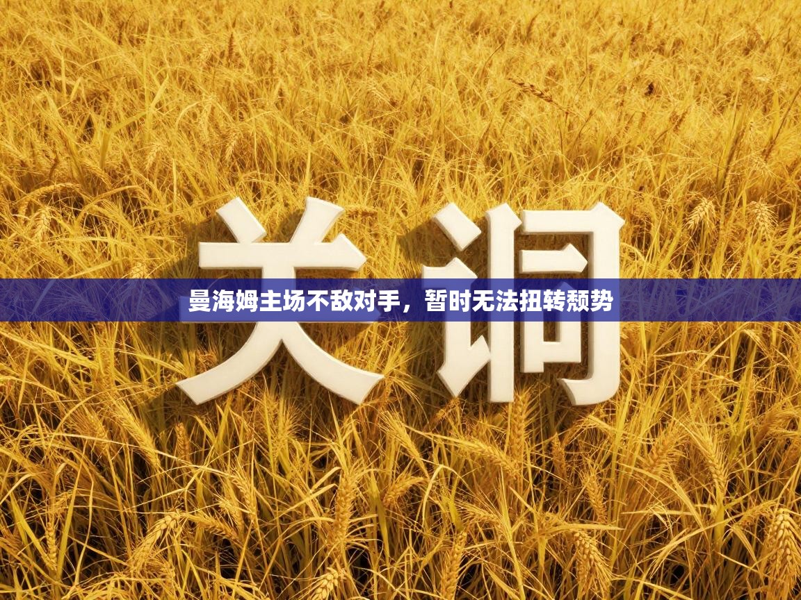 曼海姆主场不敌对手,暂时无法扭转颓势 第1张